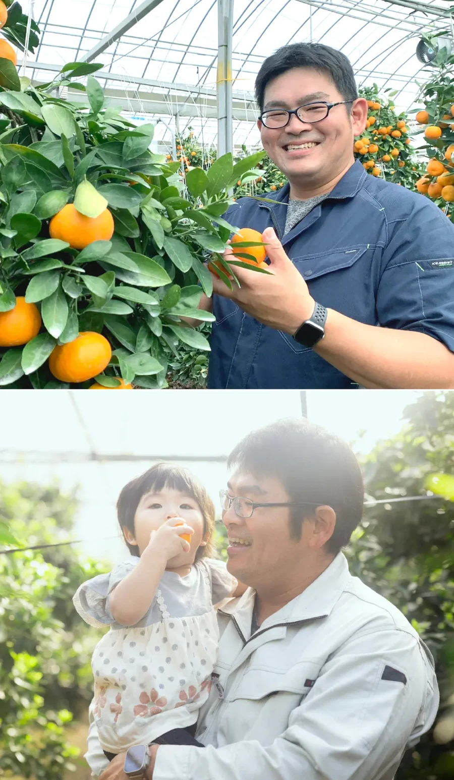 ハウスでみかんを手にする、大場博紀さん